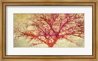 Framed Coral Tree
