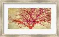 Framed Coral Tree