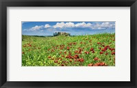 Framed Farm House with Cypresses and Poppies, Tuscany, Italy