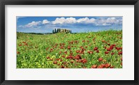 Framed Farm House with Cypresses and Poppies, Tuscany, Italy