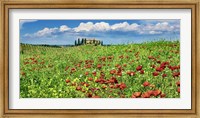 Framed Farm House with Cypresses and Poppies, Tuscany, Italy