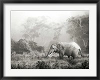 Framed African Elephant, Ngorongoro Crater, Tanzania