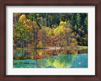 Framed Forest in autumn colours, Sichuan, China