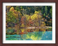 Framed Forest in autumn colours, Sichuan, China