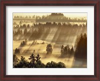 Framed Fog Impression At Sindelbachfilz, Bavaria, Germany