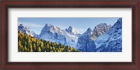 Framed Larch Forest And Cima Bel Pra, Italy