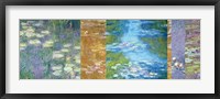 Waterlilies II Framed Print