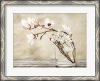 Framed Fiori di Magnolia