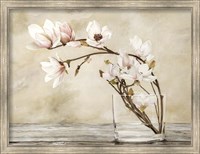 Framed Fiori di Magnolia