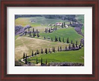 Framed Road near Montepulciano, Tuscany