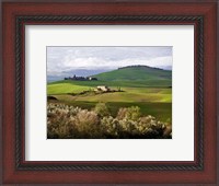 Framed Tuscan Countryside