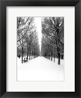 Framed Tuileries Garden under the Snow, Paris