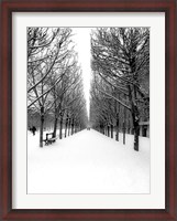 Framed Tuileries Garden under the Snow, Paris