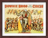 Framed Downie Bros. Big 3 Ring Circus, 1935