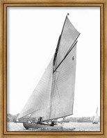 Framed Sailing in Sydney Harbour