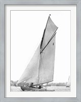 Framed Sailing in Sydney Harbour