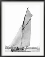 Framed Sailing in Sydney Harbour