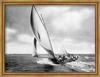 Framed Under sail, Sydney Harbour