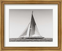 Framed Classic  Racing Sailboat