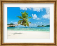 Framed Tropical beach, Seychelles (detail)