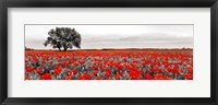 Framed Tree in a Poppy Field 2