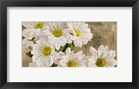Framed Daisies in the Moonlight