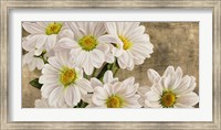 Framed Daisies in the Moonlight