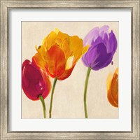 Framed Tulips & Colors (detail)