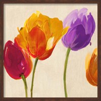 Framed Tulips & Colors (detail)