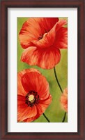 Framed Poppies in the Wind I