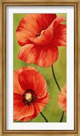 Framed Poppies in the Wind I