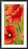 Poppies in the Wind I Framed Print