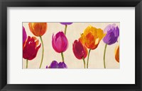 Framed Tulips & Colors