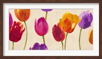 Framed Tulips & Colors