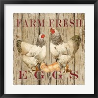 Framed Farm Fresh Eggs II