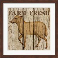 Framed Farm Fresh Lamb