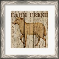 Framed Farm Fresh Lamb