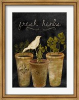 Framed Fresh Herbs