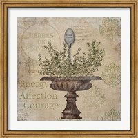Framed French Thyme