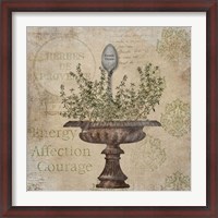 Framed French Thyme