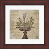 Framed French Thyme