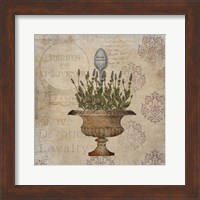 Framed French Lavender