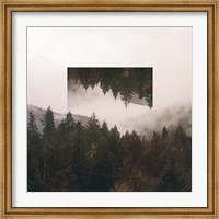 Framed Reflected Landscape I