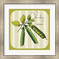 Framed Linen Vegetable IV