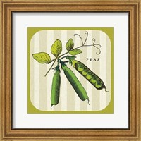 Framed Linen Vegetable IV