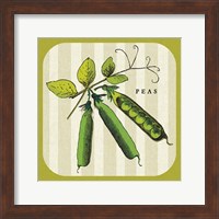 Framed Linen Vegetable IV