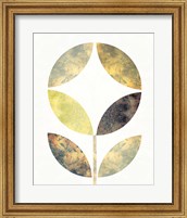 Framed Golden Flower II