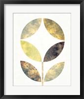 Golden Flower II Framed Print