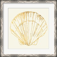 Framed Coastal Breeze Shell Sketches V