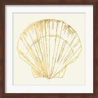 Framed Coastal Breeze Shell Sketches V
